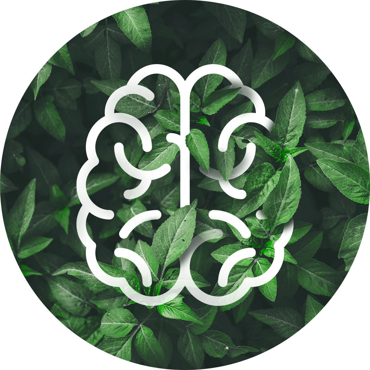 Enhance mental clarity